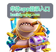 华体app登录入口账号验证界面示意